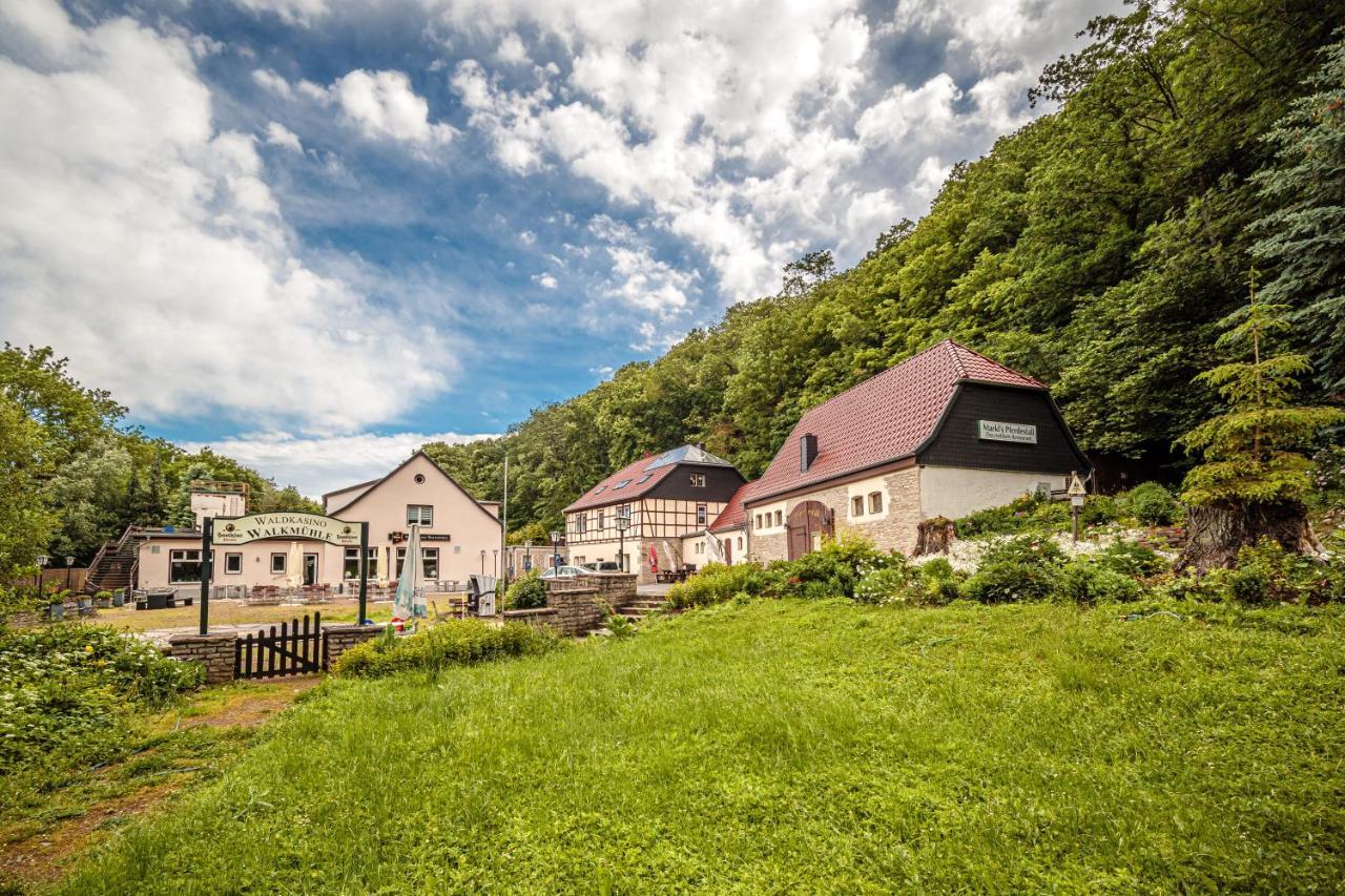 Pension Walkmuehle Sangerhausen Zewnętrze zdjęcie